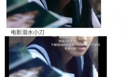 吃瓜小说娱乐圈完结文,瓜田里的甜蜜复仇