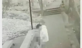 公园情侣不雅视频,公园情侣不雅视频引发社会热议